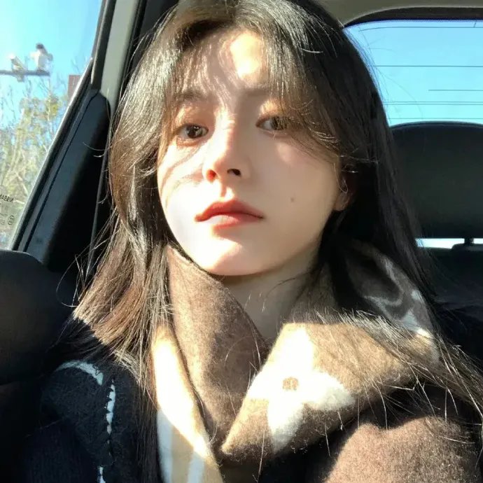 闪闪的红星 动画版